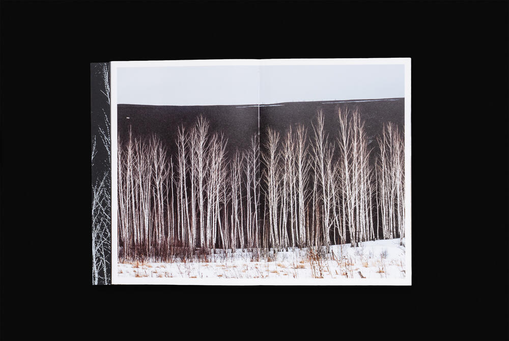 Image from page “A One Storied Country” (Photo: Ricardo Alves Ferreira Nunes)