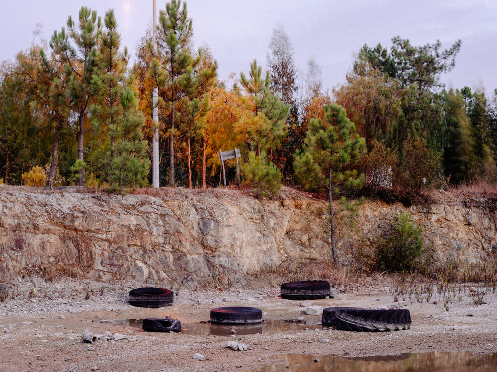 Image from page “For Sale” (Photo: Ricardo Alves Ferreira Nunes)