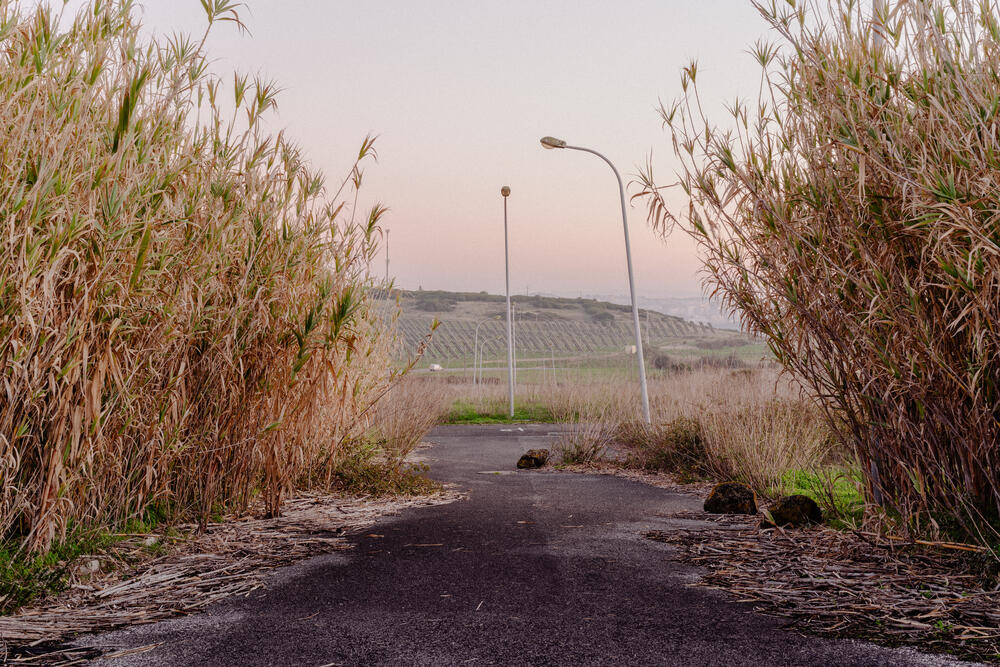 Image from page “For Sale” (Photo: Ricardo Alves Ferreira Nunes)