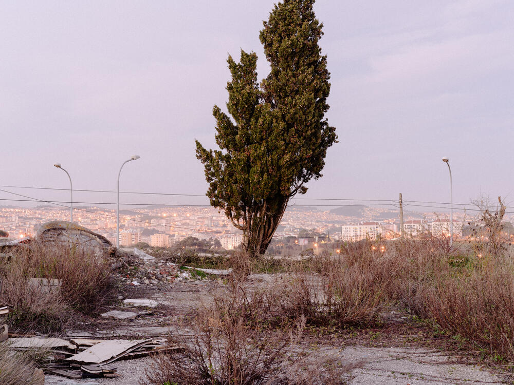 Image from page “For Sale” (Photo: Ricardo Alves Ferreira Nunes)