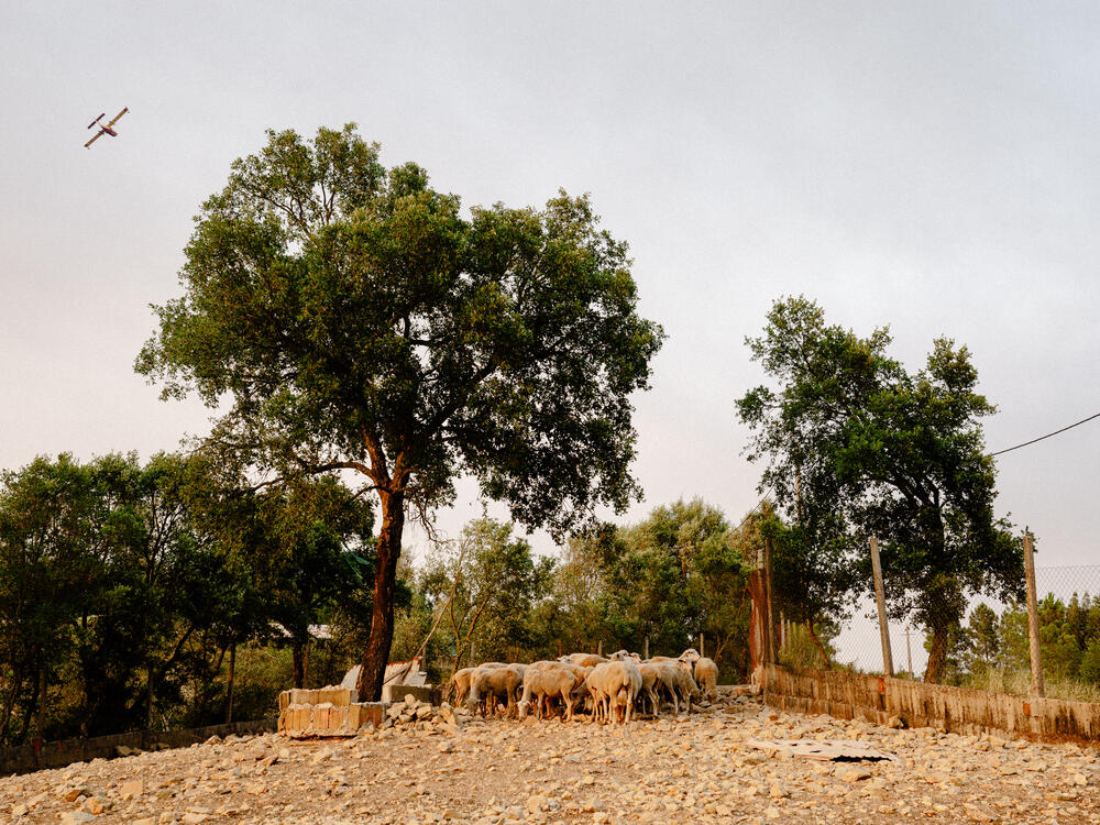 Image from page “Manmade” (Photo: Ricardo Alves Ferreira Nunes)