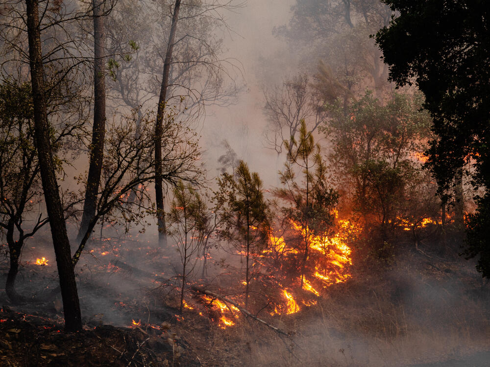 Image from page “Manmade” (Photo: Ricardo Alves Ferreira Nunes)