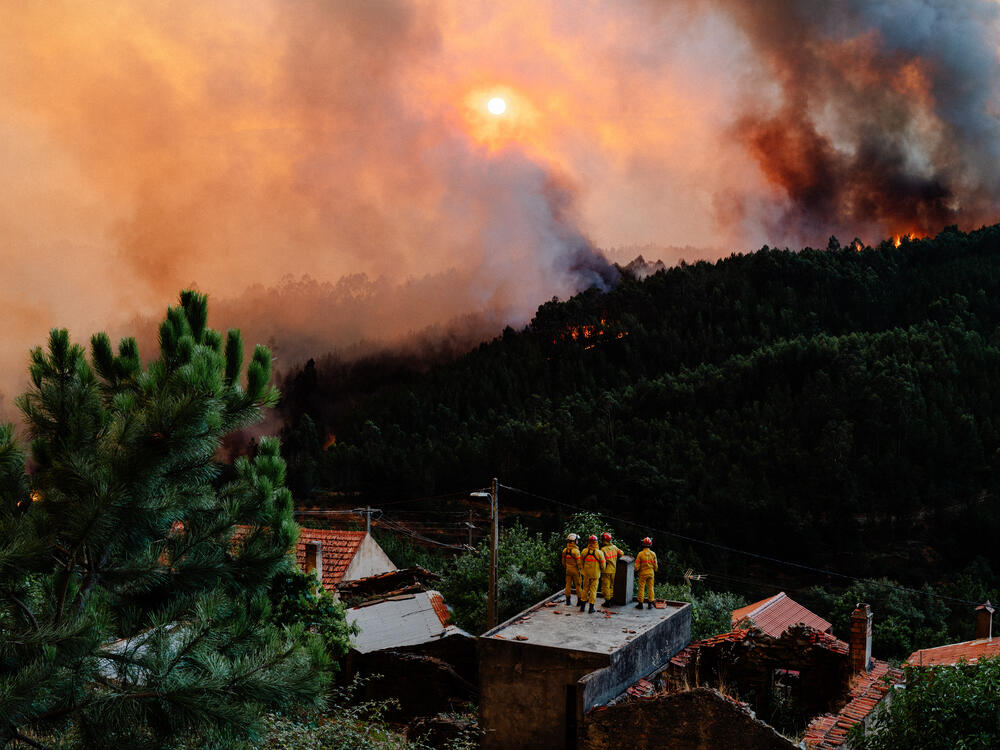 Image from page “Manmade” (Photo: Ricardo Alves Ferreira Nunes)