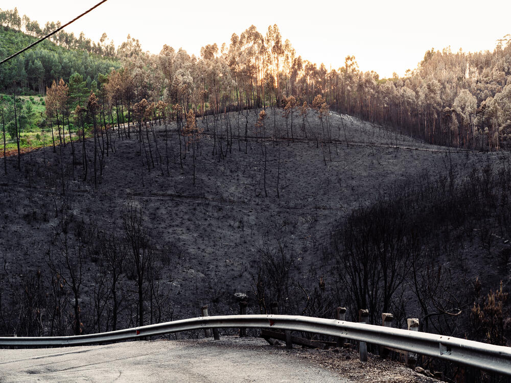Image from page “Manmade” (Photo: Ricardo Alves Ferreira Nunes)