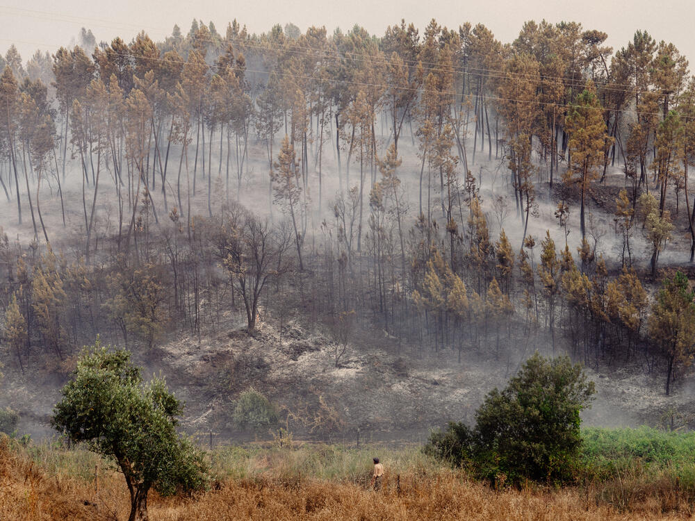 Image from page “Manmade” (Photo: Ricardo Alves Ferreira Nunes)
