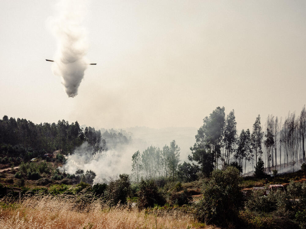 Image from page “Manmade” (Photo: Ricardo Alves Ferreira Nunes)