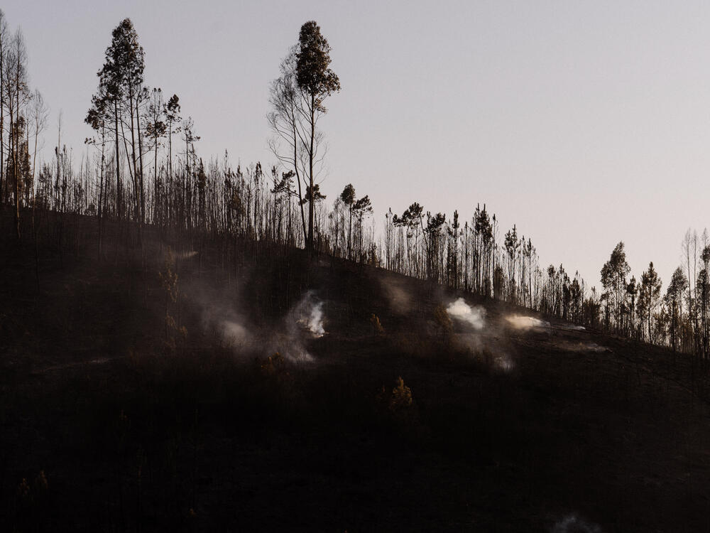 Image from page “Manmade” (Photo: Ricardo Alves Ferreira Nunes)