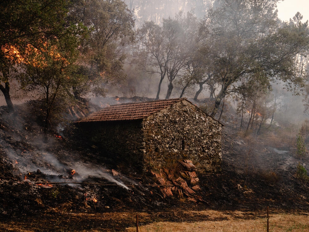 Image from page “Manmade” (Photo: Ricardo Alves Ferreira Nunes)