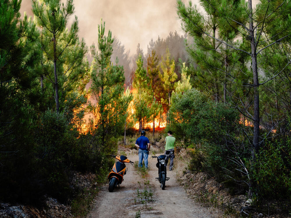 Image from page “Manmade” (Photo: Ricardo Alves Ferreira Nunes)