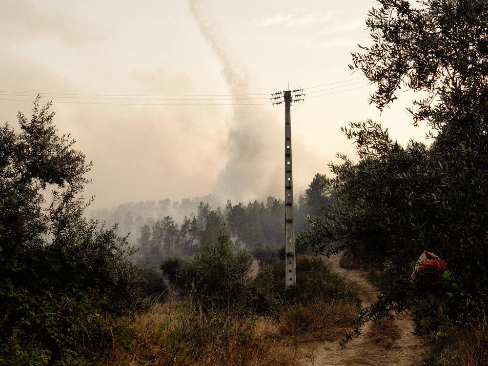 Image from page “Manmade” (Photo: Ricardo Alves Ferreira Nunes)