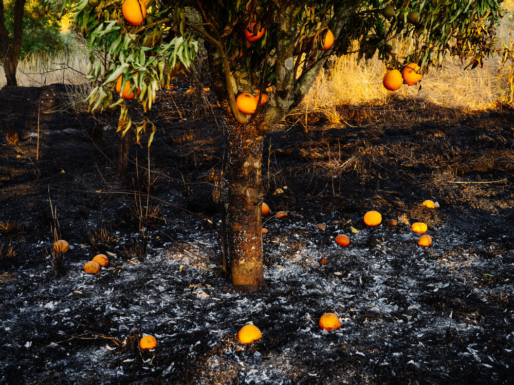 Image from page “Manmade” (Photo: Ricardo Alves Ferreira Nunes)