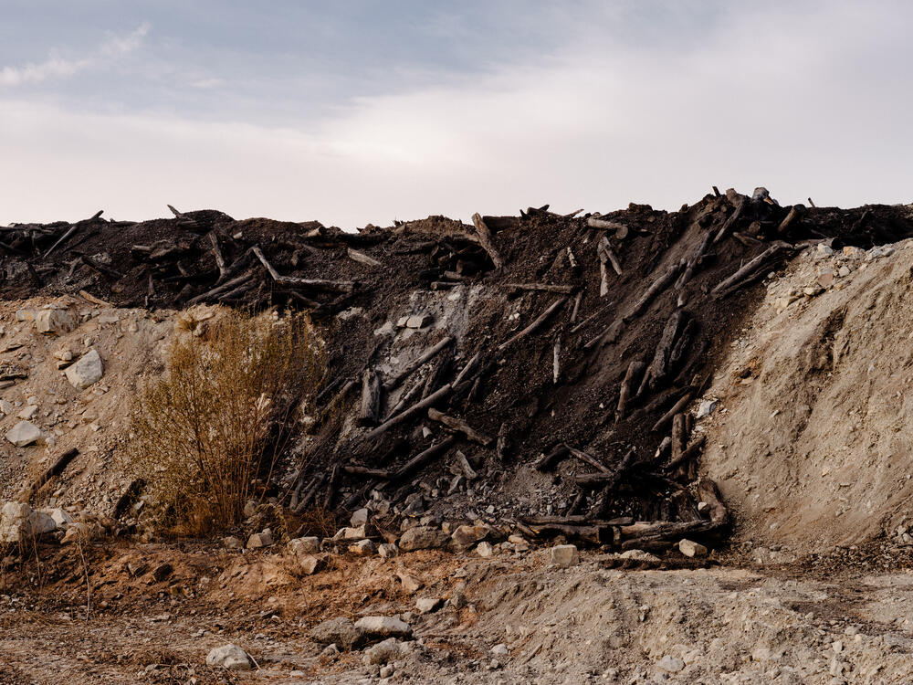 Image from page “Manmade” (Photo: Ricardo Alves Ferreira Nunes)