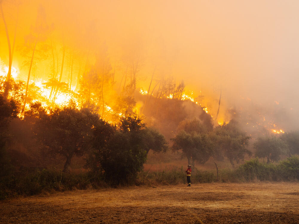 Image from page “Manmade” (Photo: Ricardo Alves Ferreira Nunes)
