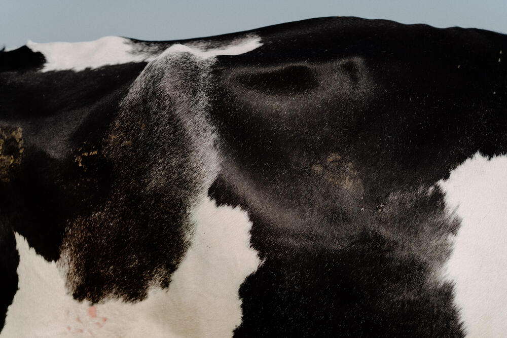 Image from page “Organic farmhouse reportage” (Photo: Ricardo Nunes)