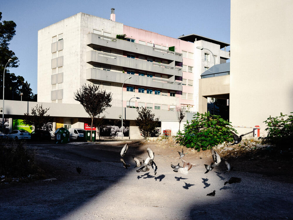 Image from page “Places of Disquiet” (Photo: Ricardo Alves Ferreira Nunes)