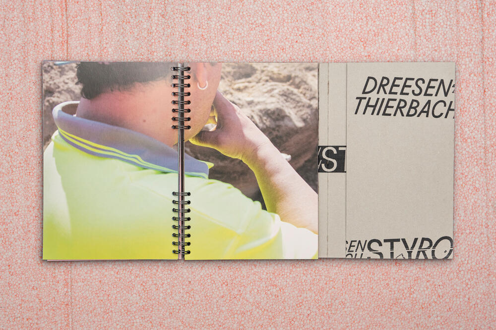 Image from page “Styrohaus”