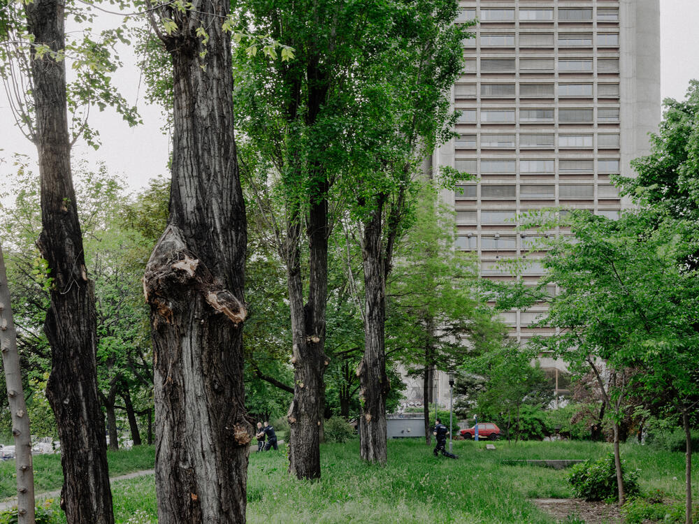 Image from page “The Western Gate” (Photo: Ricardo Alves Ferreira Nunes)