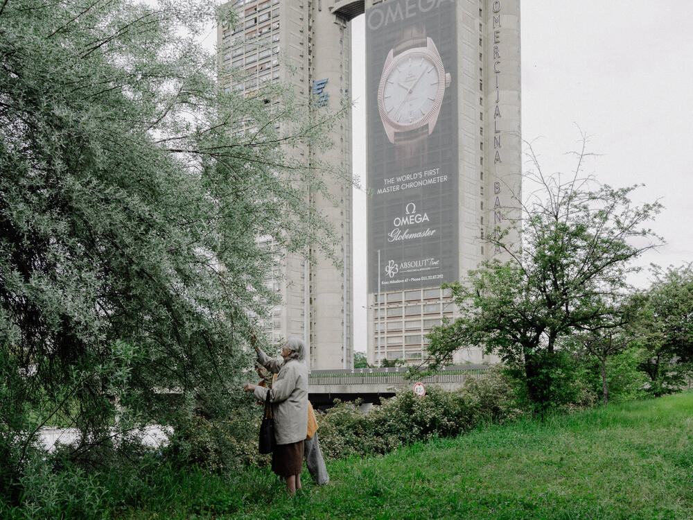 Image from page “The Western Gate” (Photo: Ricardo Alves Ferreira Nunes)