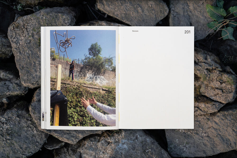 Image from page “Treibgut” (Photo: Ricardo Alves Ferreira Nunes)