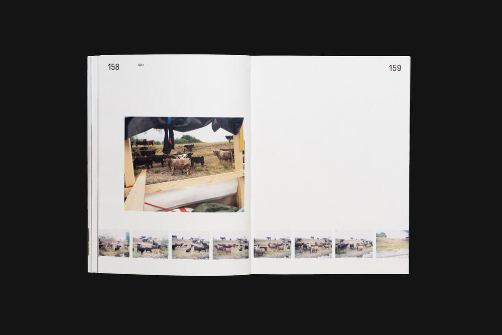 Image from page “Treibgut” (Photo: Ricardo Alves Ferreira Nunes)