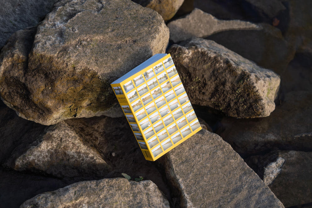 Image from page “Treibgut” (Photo: Ricardo Alves Ferreira Nunes)