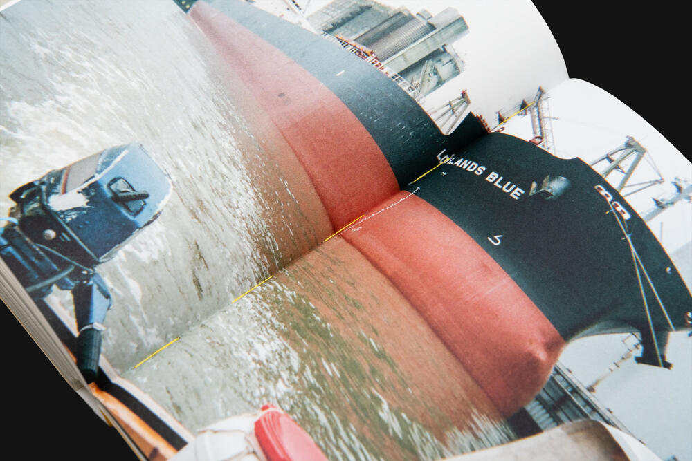 Image from page “Treibgut” (Photo: Ricardo Alves Ferreira Nunes)