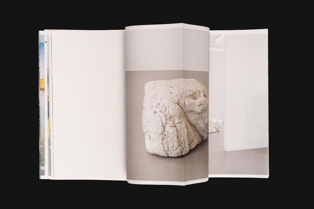 Image from page “Von Wolkenschäden” (Photo: Ricardo Alves Ferreira Nunes)