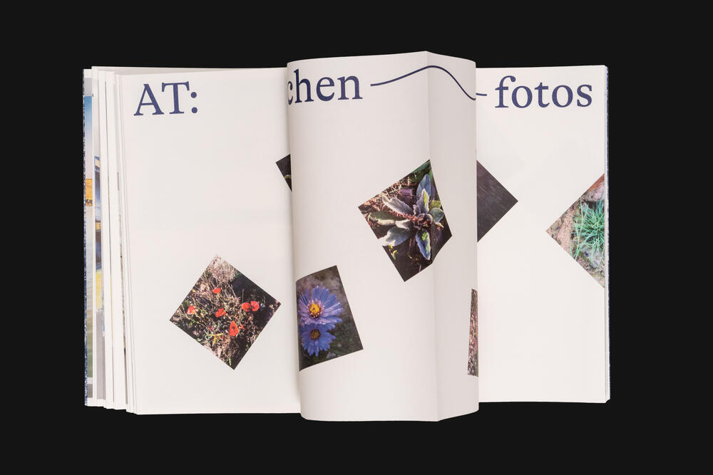 Image from page “Von Wolkenschäden” (Photo: Ricardo Alves Ferreira Nunes)