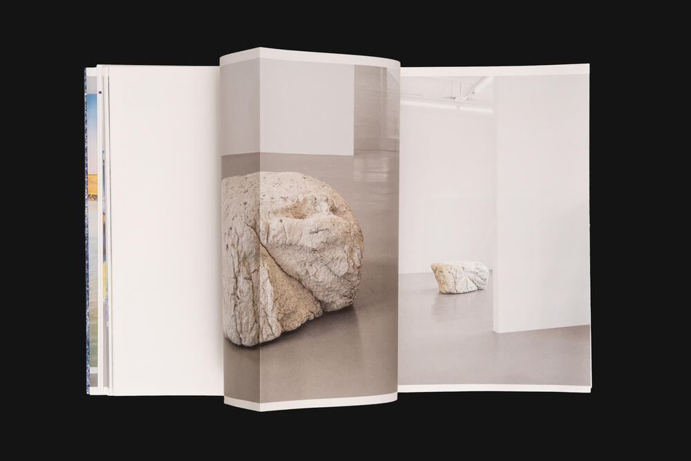 Image from page “Von Wolkenschäden” (Photo: Ricardo Alves Ferreira Nunes)