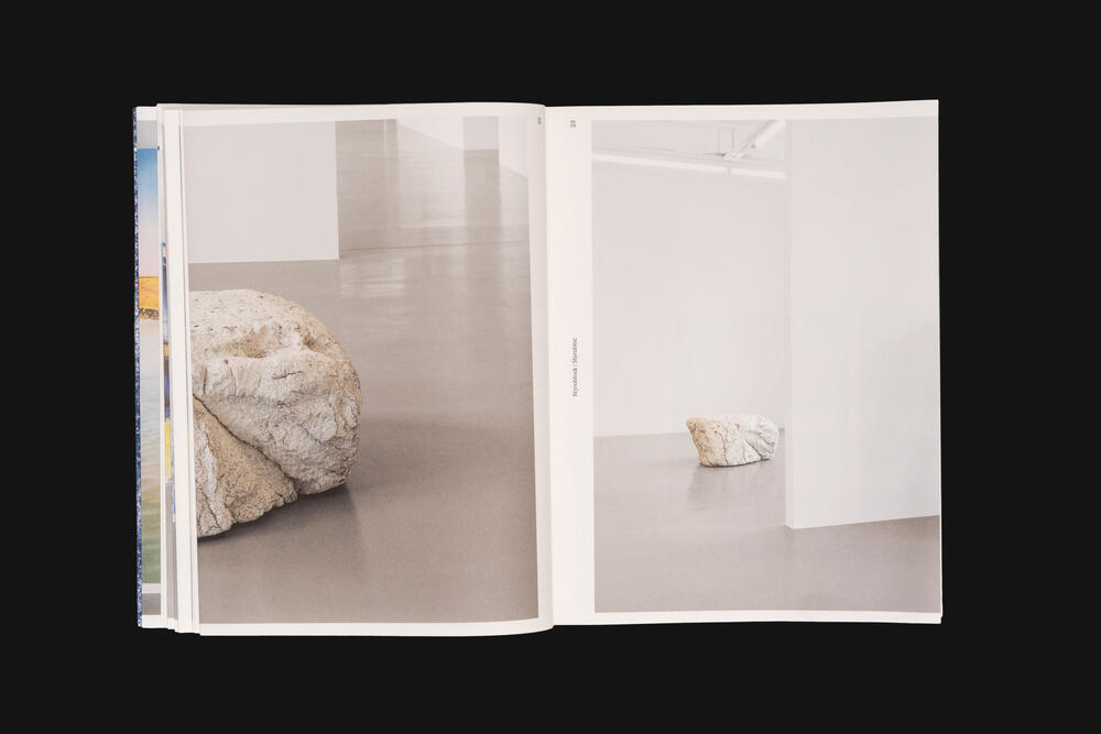 Image from page “Von Wolkenschäden” (Photo: Ricardo Alves Ferreira Nunes)