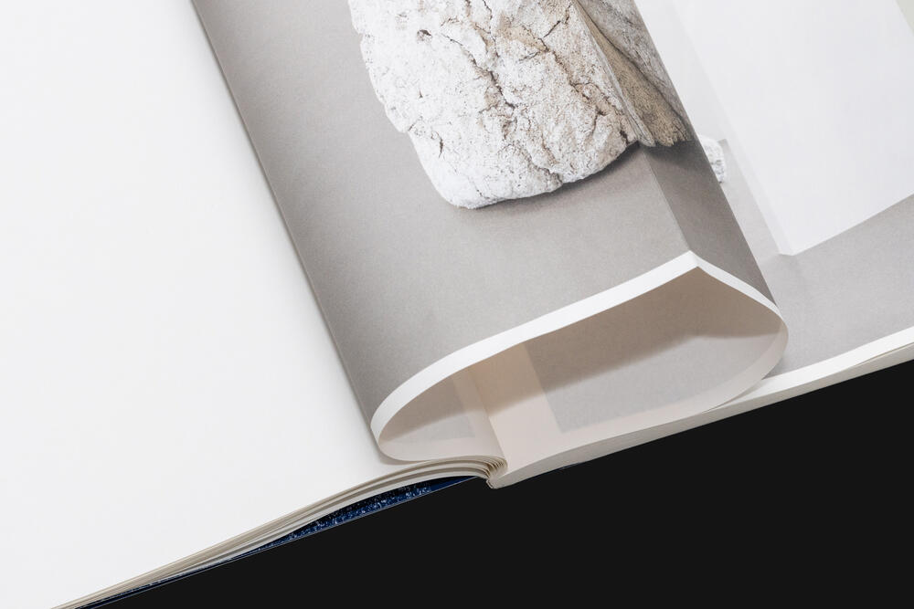 Image from page “Von Wolkenschäden” (Photo: Ricardo Alves Ferreira Nunes)